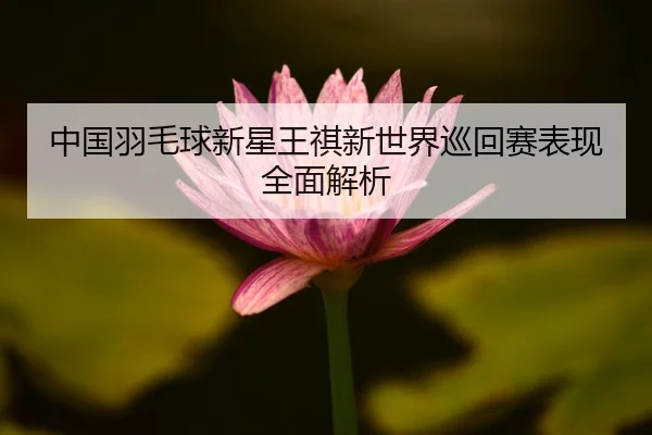 中国羽毛球新星王祺新世界巡回赛表现全面解析